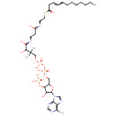 HMDB0062648 structure image